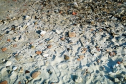 Le sable ...